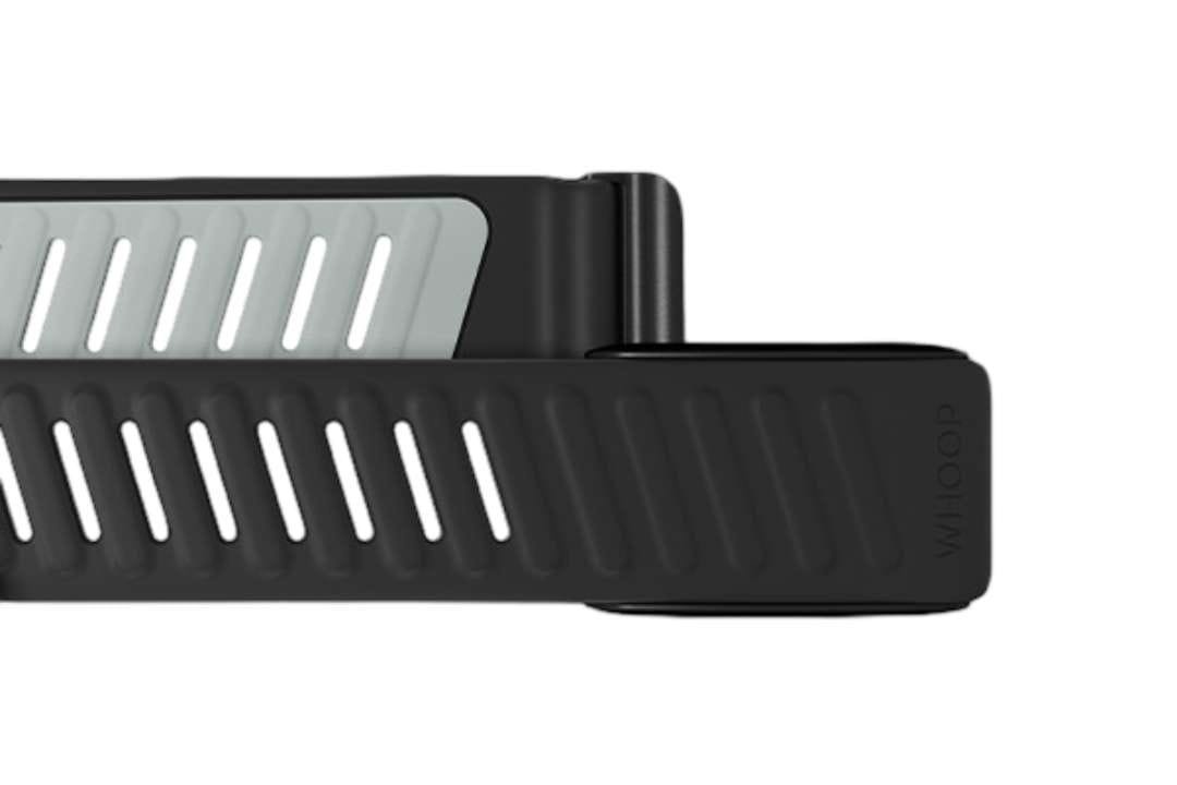 Whoop Sportflex Band