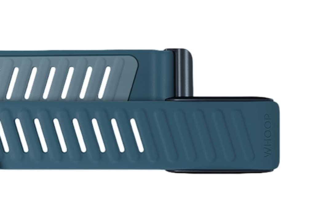 Whoop Sportflex Band - Image 2