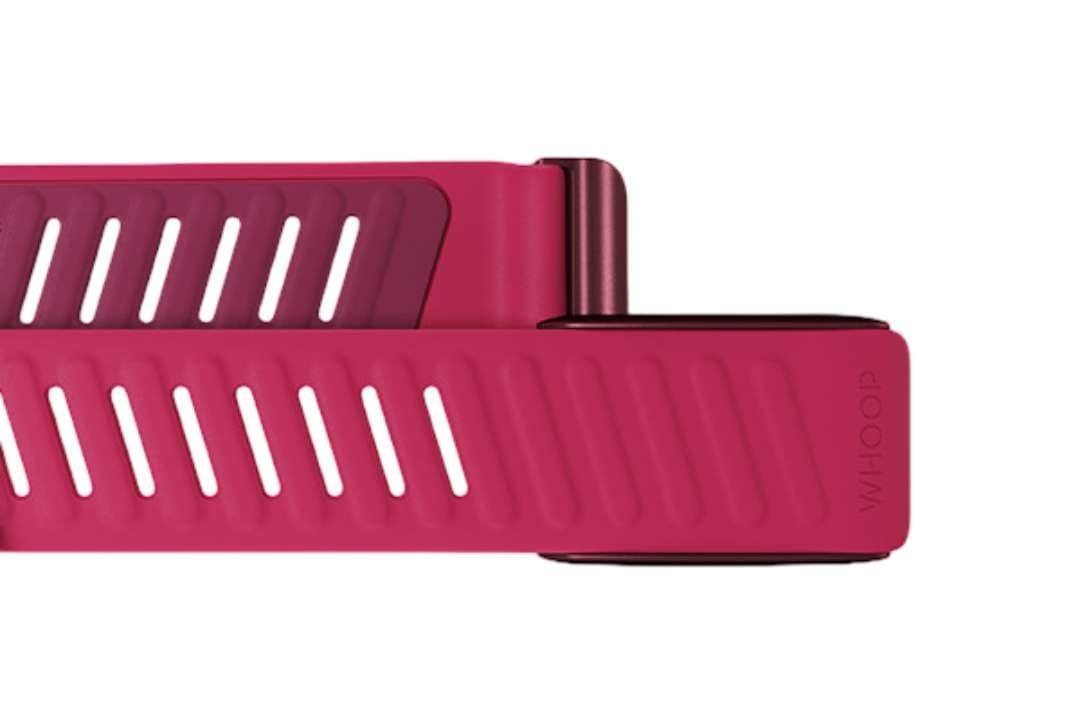 Whoop Sportflex Band - Image 3