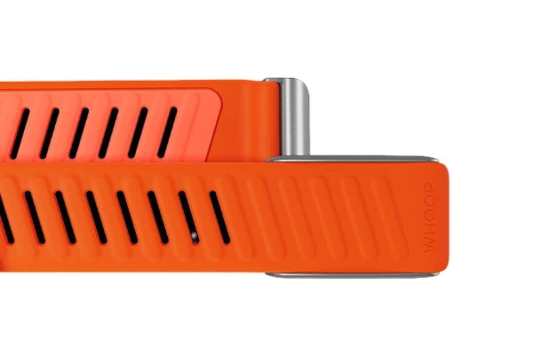 Whoop Sportflex Band - Image 4